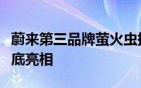 蔚来第三品牌萤火虫提速：首发中国或今年年底亮相