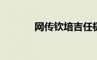 网传钦培吉任极星首席运营官