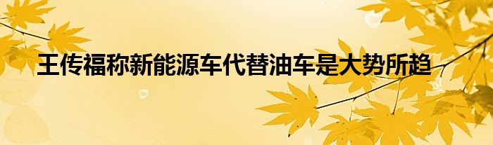 王传福称新能源车代替油车是大势所趋
