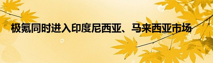 极氪同时进入印度尼西亚、马来西亚市场