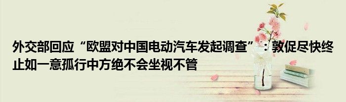 外交部回应“欧盟对中国电动汽车发起调查”：敦促尽快终止如一意孤行中方绝不会坐视不管