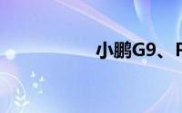 小鹏G9、P7埃及上市