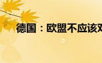 德国：欧盟不应该对中国设置贸易壁垒