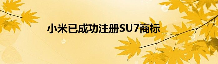小米已成功注册SU7商标