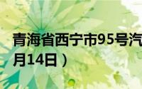 青海省西宁市95号汽油价格查询（2024年06月14日）