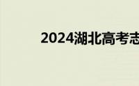 2024湖北高考志愿填报官网入口