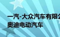 一汽-大众汽车有限公司召回共计251辆进口奥迪电动汽车