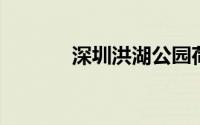 深圳洪湖公园荷花展要预约吗
