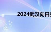 2024武汉向日葵花海地点推荐