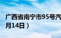 广西省南宁市95号汽油价格查询（2024年06月14日）