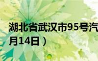 湖北省武汉市95号汽油价格查询（2024年06月14日）
