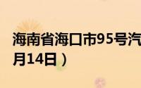 海南省海口市95号汽油价格查询（2024年06月14日）
