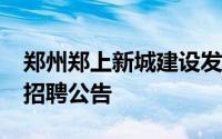郑州郑上新城建设发展集团有限公司2024年招聘公告