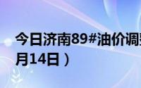 今日济南89#油价调整最新消息（2024年06月14日）