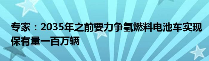 专家：2035年之前要力争氢燃料电池车实现保有量一百万辆