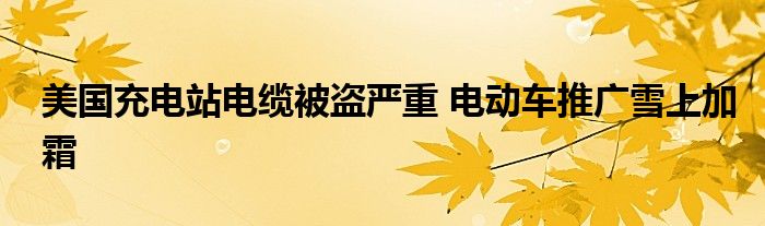 美国充电站电缆被盗严重 电动车推广雪上加霜