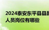 2024泰安东平县县属国有企业公开招聘工作人员岗位有哪些