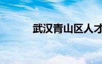 武汉青山区人才驿站怎么申请？