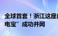 全球首套！浙江这座自主创新技术的巨型“充电宝”成功并网