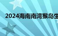 2024海南南湾猴岛生态旅游区准考证优惠