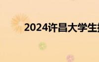 2024许昌大学生扬帆计划怎么报名