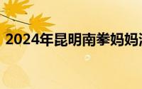 2024年昆明南拳妈妈演唱会门票多少钱一张