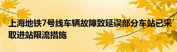 上海地铁7号线车辆故障致延误部分车站已采取进站限流措施