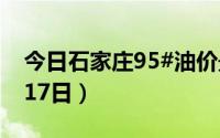 今日石家庄95#油价最新消息（2024年06月17日）