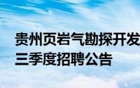 贵州页岩气勘探开发有限责任公司2024年第三季度招聘公告