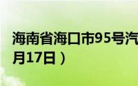 海南省海口市95号汽油价格查询（2024年06月17日）