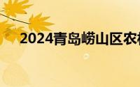 2024青岛崂山区农村公益电影放映计划