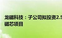 龙磁科技：子公司拟投资2.56亿元建设软磁铁氧体原材料及磁芯项目