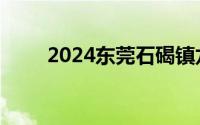 2024东莞石碣镇龙舟大赛赛程安排
