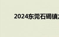 2024东莞石碣镇龙舟大赛活动安排