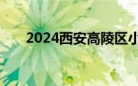 2024西安高陵区小学学区划分一览表