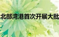 北部湾港首次开展大批量储能柜整船出口业务