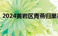 2024黄岩区青燕归巢暑期社会实践报名入口