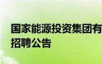 国家能源投资集团有限责任公司2024年社会招聘公告