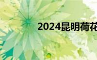 2024昆明荷花七处景点推荐