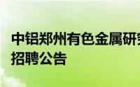 中铝郑州有色金属研究院有限公司高层次人才招聘公告