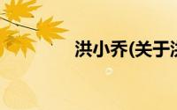 洪小乔(关于洪小乔的简介)