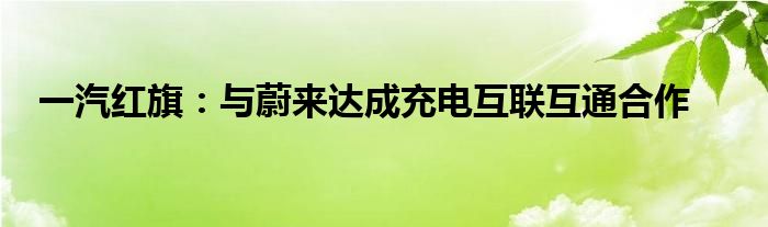一汽红旗：与蔚来达成充电互联互通合作