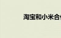 淘宝和小米合作“虚拟试车”
