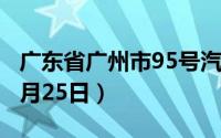 广东省广州市95号汽油价格查询（2024年06月25日）