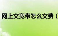 网上交宽带怎么交费（宽带缴费网上怎么交）