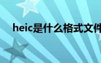 heic是什么格式文件（heic是什么格式）