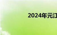 2024年元江蝴蝶大爆发