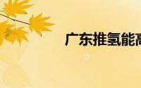 广东推氢能高速示范项目