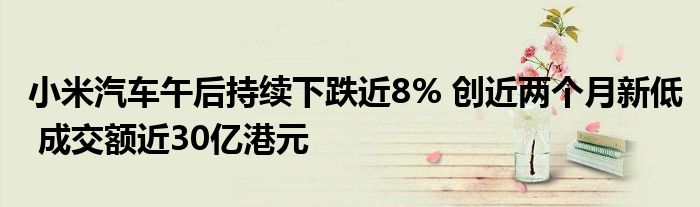 小米汽车午后持续下跌近8% 创近两个月新低 成交额近30亿港元