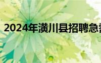 2024年潢川县招聘急需紧缺人才岗位及条件